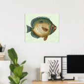 Große bunte Fische Poster (Heimbüro)