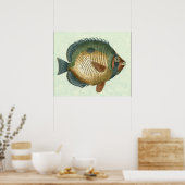 Große bunte Fische Poster (Küche)
