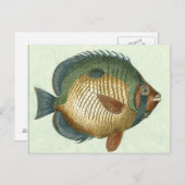 Große bunte Fische Postkarte (Vorne/Hinten)