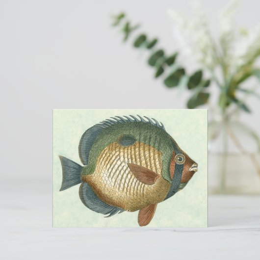 Große bunte Fische Postkarte (Stehend Vorderseite)