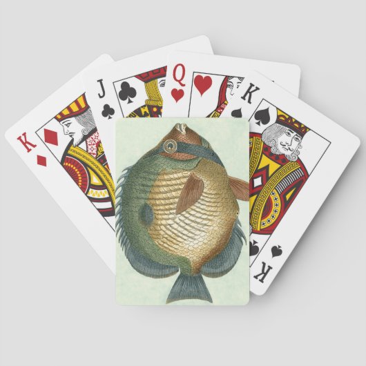 Große bunte Fische Spielkarten (Rückseite)