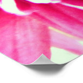 große chrysanthemum rosa Blume Leinwand Poster (Ecke)