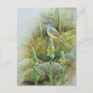 Grosse Cresta: Flycatcher Bird Postkarte