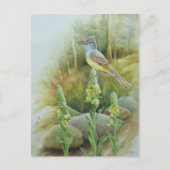 Grosse Cresta: Flycatcher Bird Postkarte (Vorderseite)