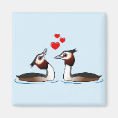 Große Crested Grebes in der Liebe Magnet (Vorne)