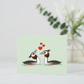 Große Crested Grebes in der Liebe Postkarte (Stehend Vorderseite)