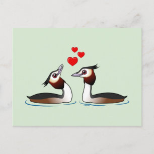 Große Crested Grebes in der Liebe Postkarte