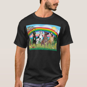 Große Danaren (vier) - Rainbow Bright T-Shirt