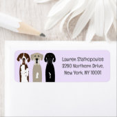 Große Dane Hunde (Insitu)