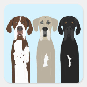 Große Dane Hunde Quadratischer Aufkleber