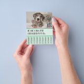 Große Dane Welpen zum Verkauf Flyer (Gruppe)