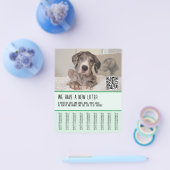 Große Dane Welpen zum Verkauf Flyer (Einzeln)