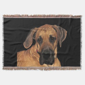 Große Dane-Wirbel Decke (Vorderseite)