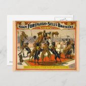 Große Dänen / Hunde Circus Poster Postkarte (Vorne/Hinten)