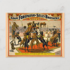 Große Dänen / Hunde Circus Poster Postkarte