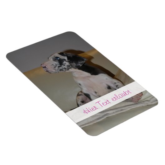 Große Dänen Magnet (Rechte Seite)