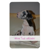 Große Dänen Magnet (Vertikal)