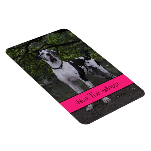 Große Dänen Magnet (Rechte Seite)