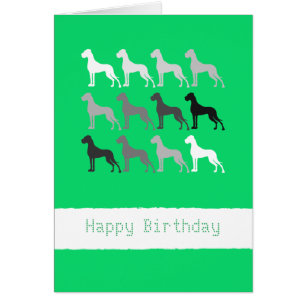 Große Dänische Hunde Geburtstag