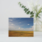 Große Ebene in South Dakota im Sommer Postkarte (Stehend Vorderseite)
