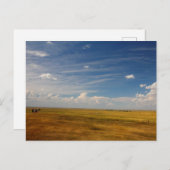 Große Ebene in South Dakota im Sommer Postkarte (Vorne/Hinten)