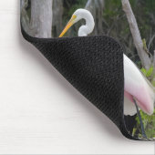 Große Egret Dominanz über Roseate Spoonbill. Mousepad (Ecke)