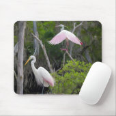 Große Egret Dominanz über Roseate Spoonbill. Mousepad (Mit Mouse)