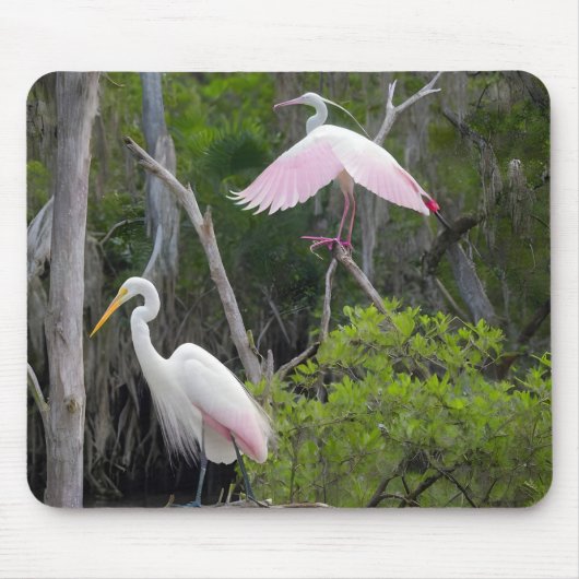 Große Egret Dominanz über Roseate Spoonbill. Mousepad (Vorne)