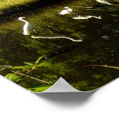 Große Egrets im Sumpf Poster (Ecke)