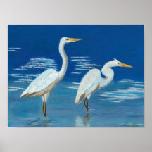 Große Egrets