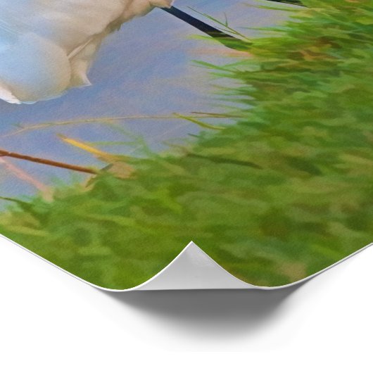 Große Egrets Spaziergang bei Sonnenaufgang Poster (Ecke)