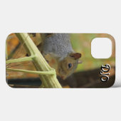 Große Eichhörnchen Case-Mate iPhone Case (Rückseite (Horizontal))