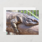 große Eidechse auf Login nah Postkarte (Vorne/Hinten)