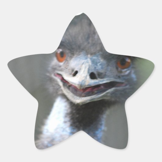 Große Emu-Aufkleber Stern-Aufkleber (Vorderseite)