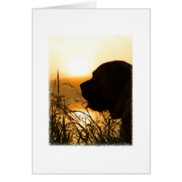 Große englische Mastiff-Silhouette am