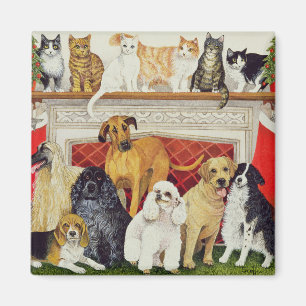 Große Erwartungen Magnet