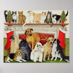 Große Erwartungen Poster