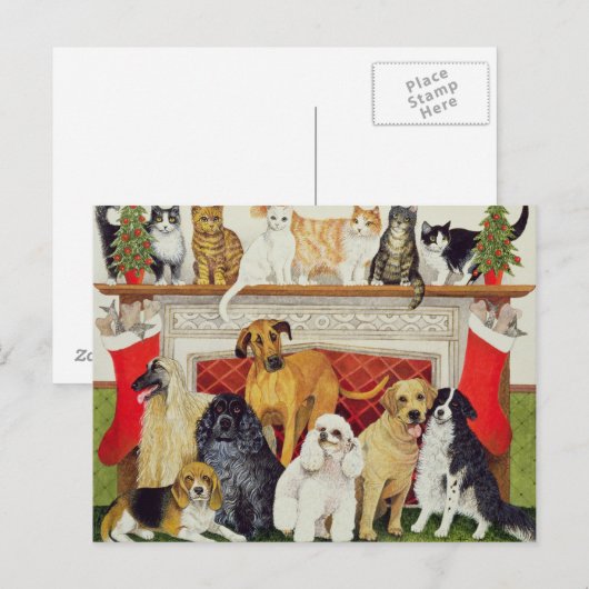 Große Erwartungen Postkarte (Vorne/Hinten)