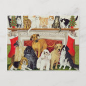 Große Erwartungen Postkarte (Vorderseite)