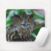 Große Eulen-Mausunterlage Mousepad (Mit Mouse)