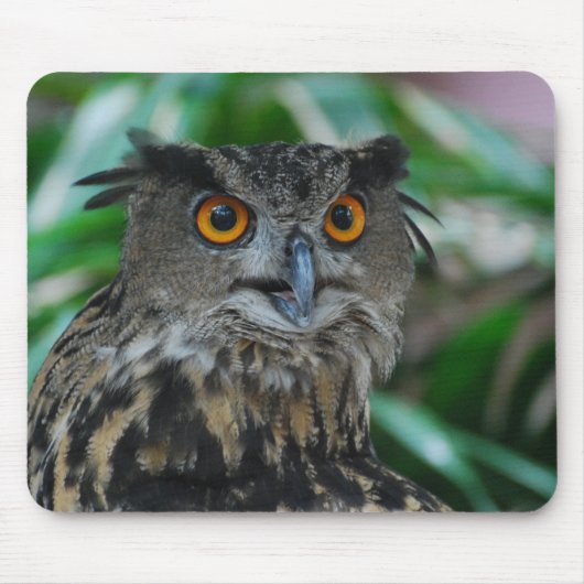 Große Eulen-Mausunterlage Mousepad (Vorne)