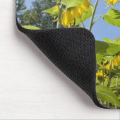 große Extrabiene auf Sonnenblume Mousepad (Ecke)