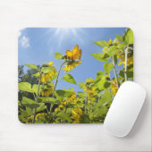 große Extrabiene auf Sonnenblume Mousepad (Mit Mouse)