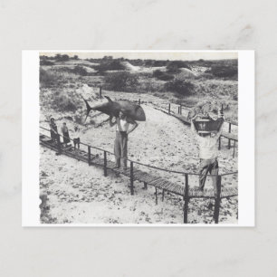 Große Fische - Einladungspostkarte