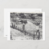 Große Fische - Einladungspostkarte (Vorne/Hinten)