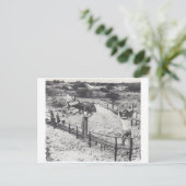 Große Fische - Einladungspostkarte (Stehend Vorderseite)