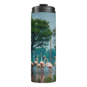 Große Flamingoherde im natürlichen Lebensraum. Ein Thermosbecher