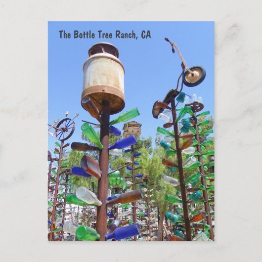 Große Flasche Bäume Ranch Postkarte! Postkarte (Vorderseite)