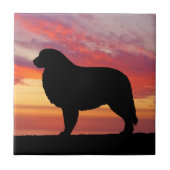 Große Fliese (Vorderseite)