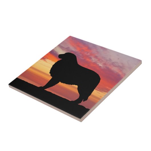 Große Fliese (Seite)